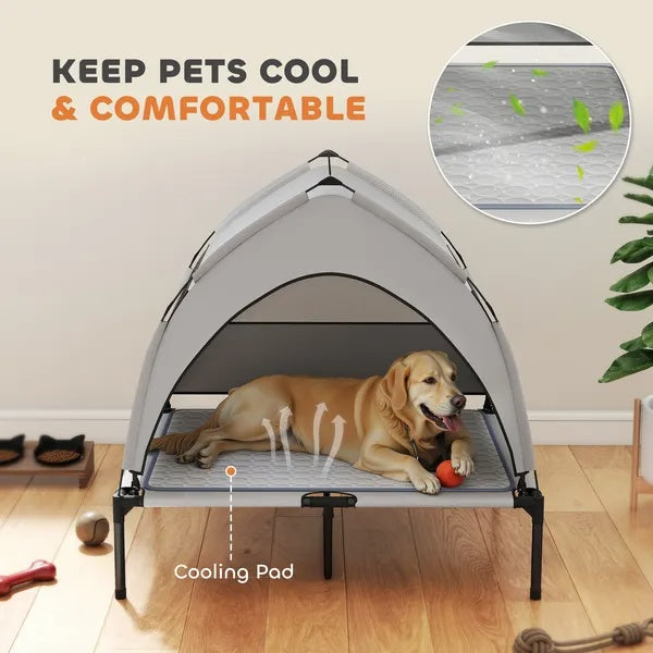 Elevated Dog Bed With Removable Canopy