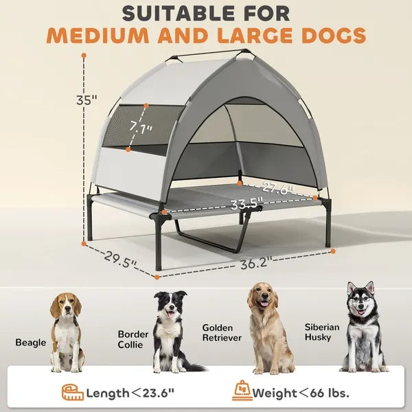Elevated Dog Bed With Removable Canopy