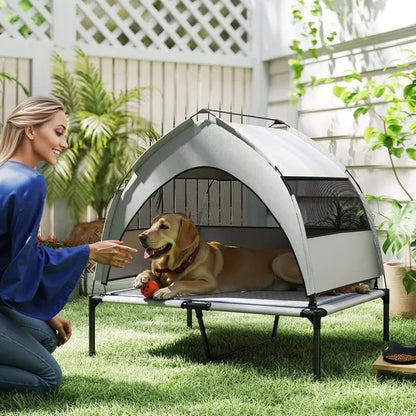 Elevated Dog Bed With Removable Canopy